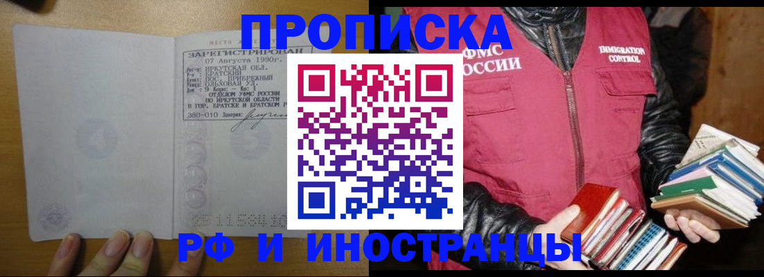 прописка гарантия в Камышине